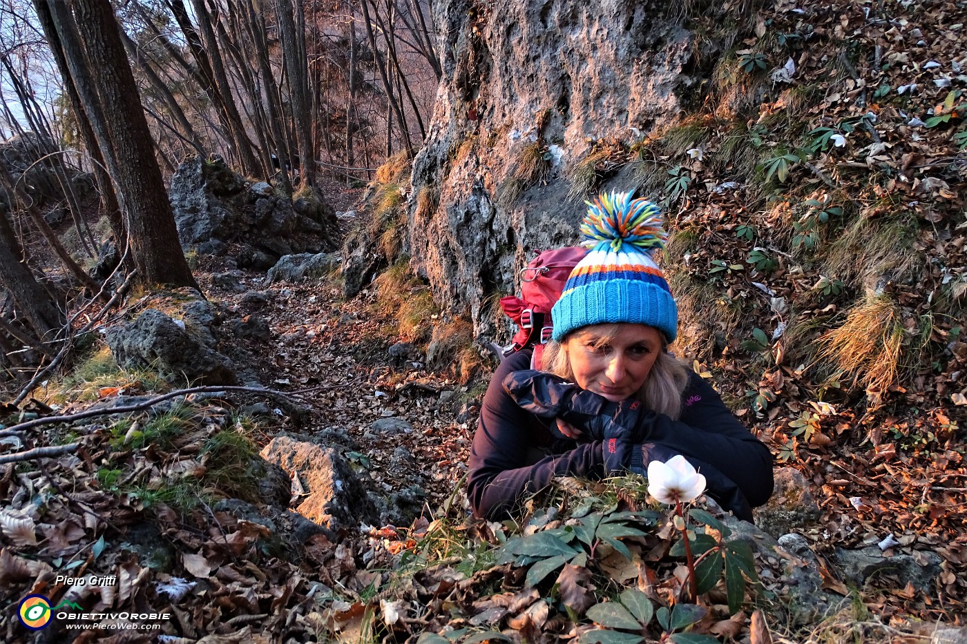 07 In discesa su sent. panoramico 503, godendoci spettacolo di ellebori in fiore.JPG